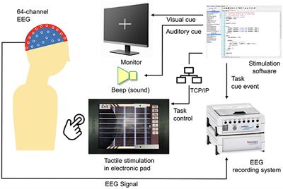 Neural Activations Associated With Friction Stimulation on Touch-Screen Devices